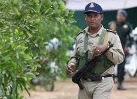 Uniformed Security Officers