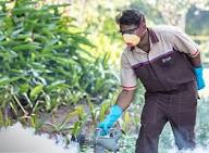 Pest Control