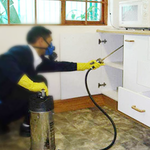 Pest Treatment